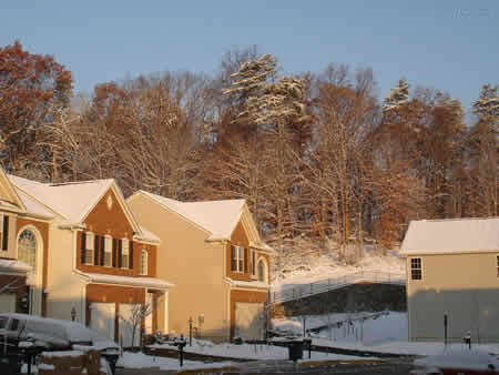 Virginia